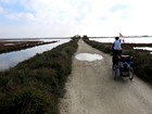 La Camargue à vélo : Digue à la Mer