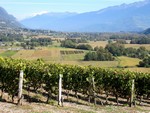 Le Mont Blanc depuis la Route des Vins