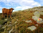 Dans la montée vers le Col des Lacs