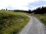 Portion de chemin sur les pistes de ski de fond des Saisies