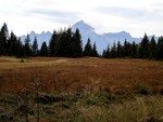 Arrivée au Lachat devant le Mont Charvin (2409 m)