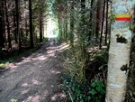 Marquage jaune et rouge du Tour du Lac de Vouglans