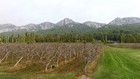 Vue sur le Petit Lubéron