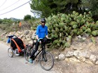 Cactus sur le Tour du Lubéron