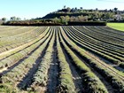 Tour du Lubéron à vélo