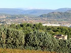 Le Mont Ventoux depuis les hauteurs d'Apt