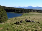 Tour du Mont Dore : Arrivée au lac de Servières