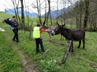 Tour du Mont Julioz