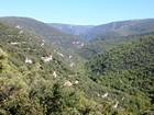 Tour du Mont Ventoux : Vue sur les Gorges de la Nesque