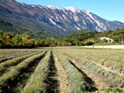 Le Mont Ventoux