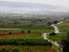 Tour du Mont Ventoux : Arrivée sur Ville-sur-Auzon