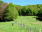 Tour des monts du Cantal : descente vers le gîte de Lafon