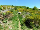 Tour des monts du Cantal : Montée vers le Puy de la vache