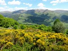 Tour des monts du Cantal : le Plomb du Cantal