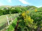 Tour des monts du Cantal : Montée vers le Piquet