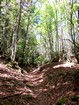 Tour des monts du Cantal