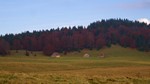 Dans la descente du Col de La Cochette