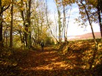 Dans la montée vers le Creux du Lachat