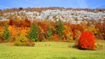 Dans la montée vers le Creux du Lachat