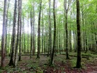 La Bavière à Vélo : Königssee