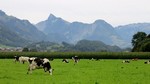 La Suisse à vélo, Route des lacs n°9