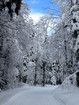 La Traversée du Jura à ski