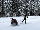 La Traversée du Jura à ski