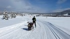 La Grande Traversée du Jura à ski