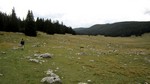 Les Hauts Plateaux du Vercors