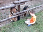 Vélodyssée - Camping à la ferme à Léon