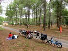 Vélodyssée - Direction Contis-Plage