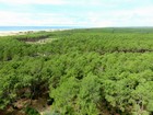 Vélodyssée - Vue depuis le phare de Contis