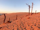 Vélodyssée - Dune du Pilat au soleil couchant