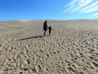 Vélodyssée - Randonnée sur la dune du Pilat