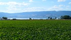 Yverdon - Dijon par la Forêt Noire