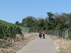 Yverdon - Dijon par la Forêt Noire