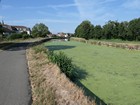 Yverdon - Dijon par la Forêt Noire