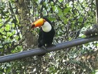 Guadeloupe
