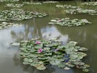 Seine &agrave; v&eacute;lo